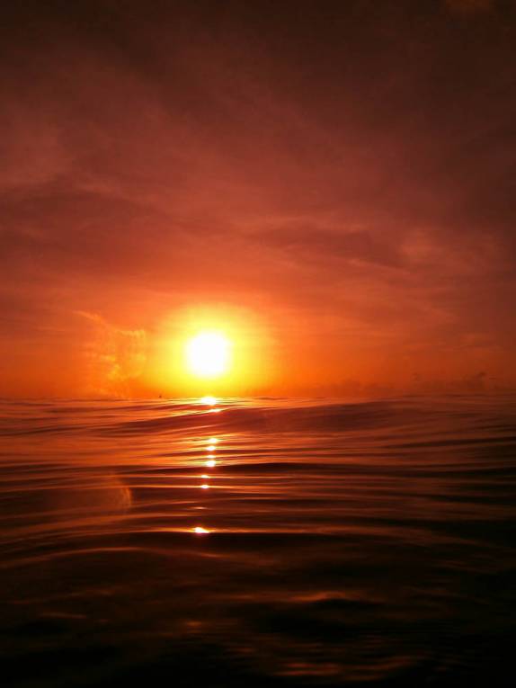 Pôr-do-sol cinematogrãfico durante snorkel no Sculptures Park, em Granada